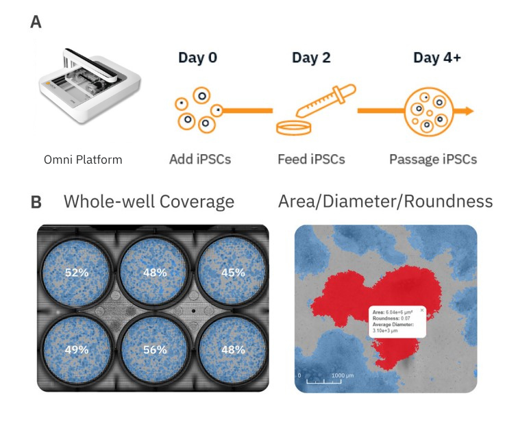 ブースター・導入液 Ai Revo STEM CELL Automated real-time monitoring of stem cell cultures | Axion